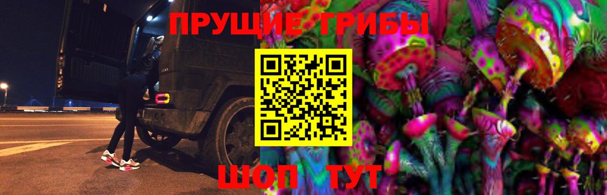 хочу   Вход с VPN  Бердск  Галлюциногенные грибы мицелий 